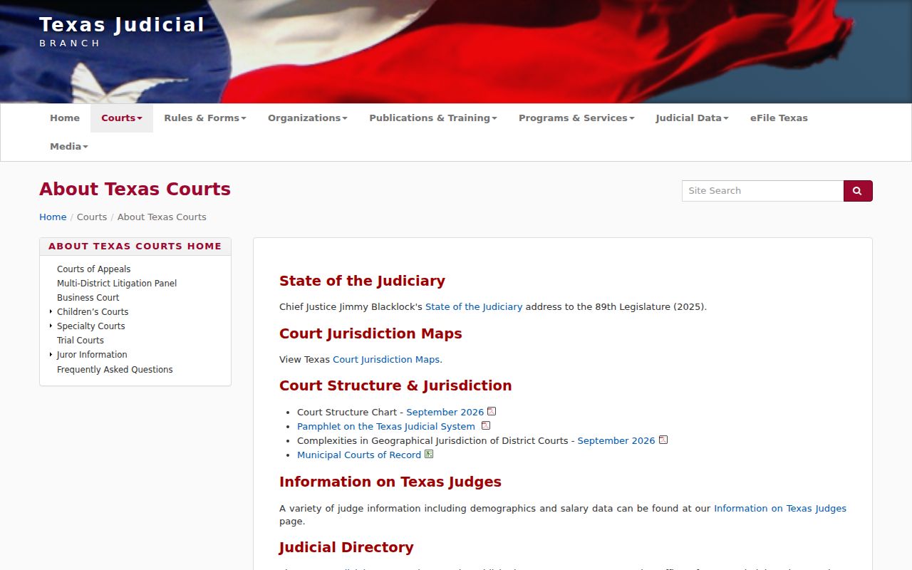 Goliad County warrant records: Texas court structure reference